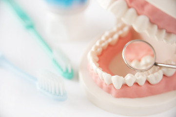 入れ歯を使用している人の歯周病リスクとは？