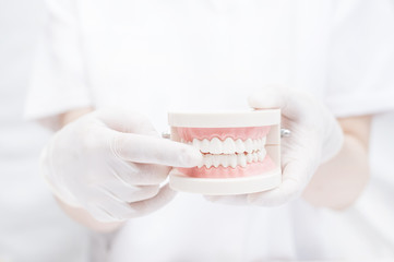 歯周病のしみ方