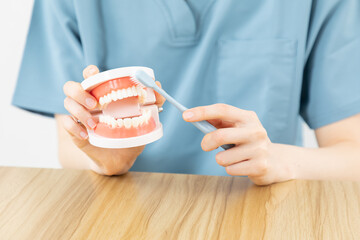 歯周病　予防　歯ブラシ