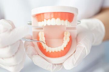 歯周病と歯肉炎の症状や治療方法