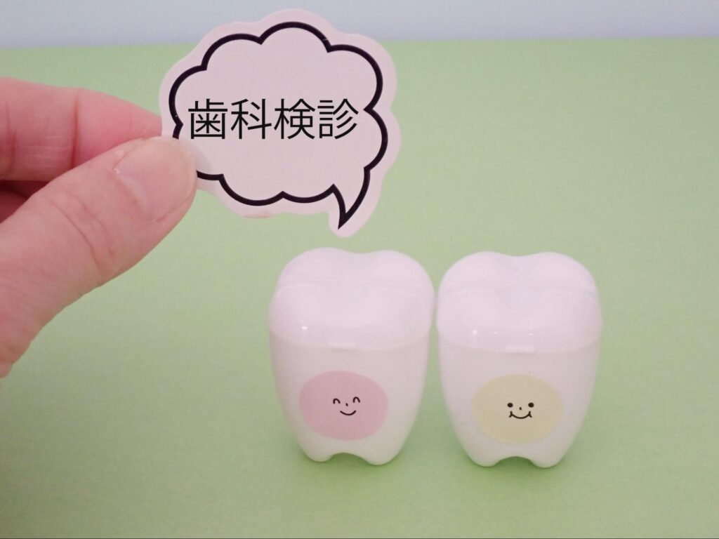 歯の模型 歯科検診